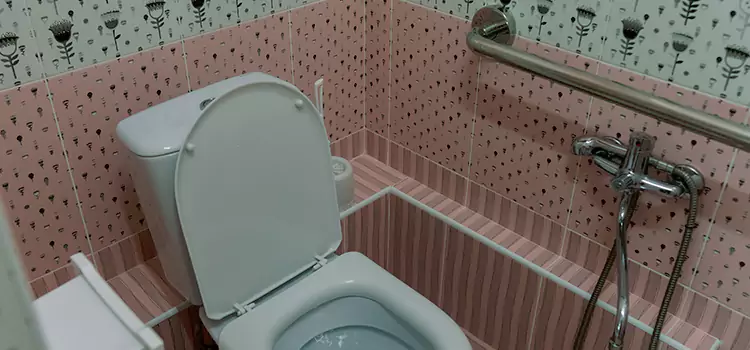 Meeting Diverse Needs With Accessible Restroom Solutions in Delano, CA